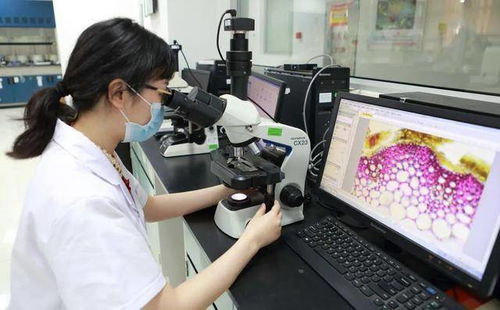 用藥需謹慎 警惕藥物副作用導致的體重增加